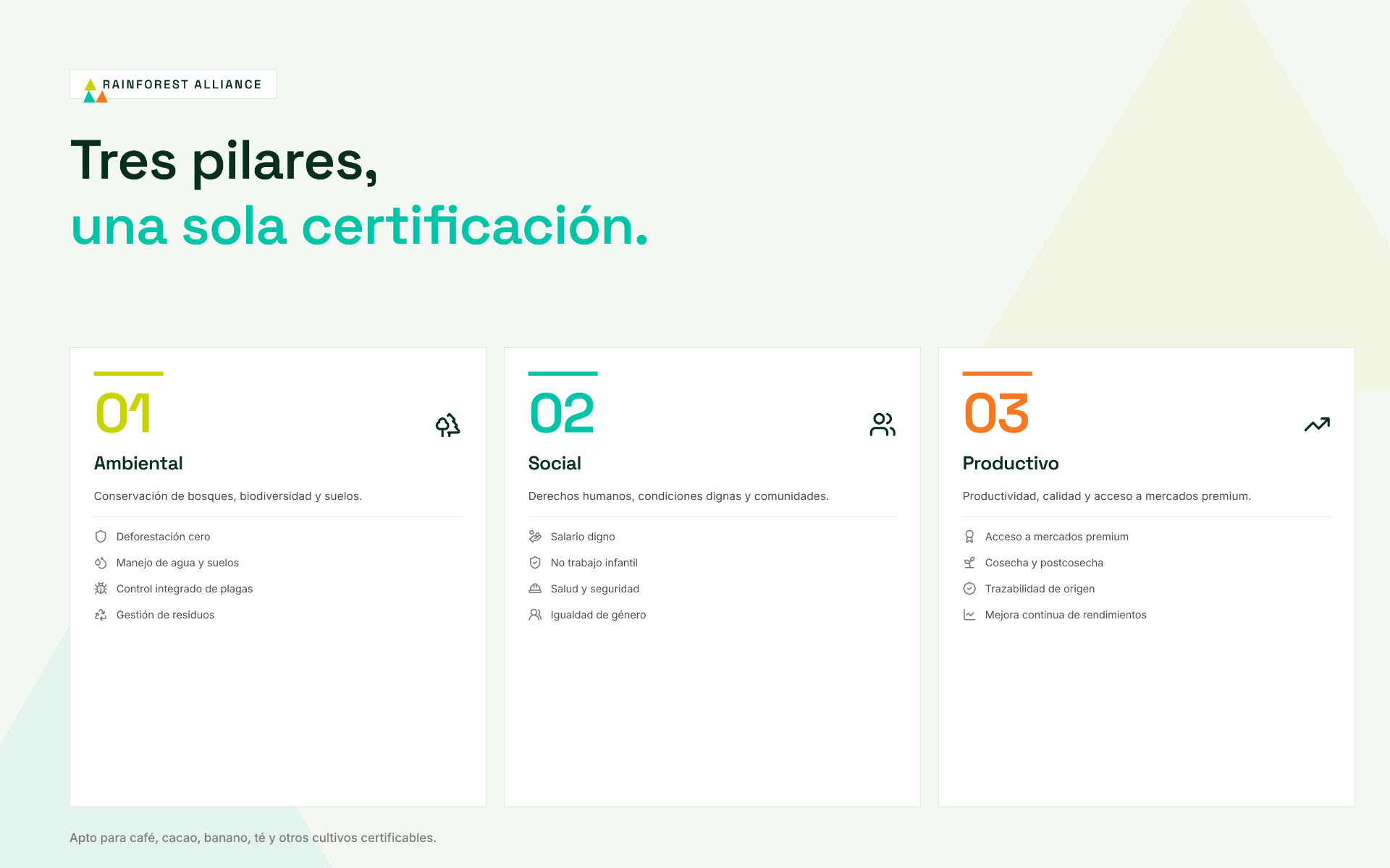 Tres pilares de Rainforest Alliance: ambiental, social y productivo